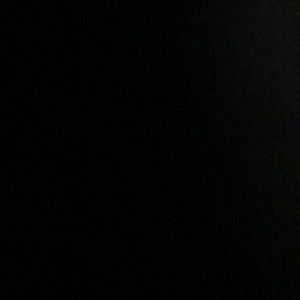 Meet your Posher, Dakota